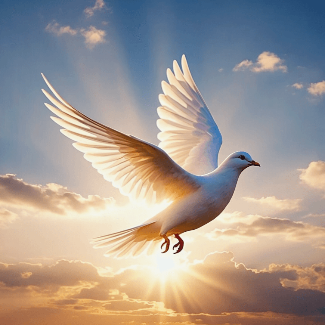 The Role of the Holy Spirit in a Believer's Life